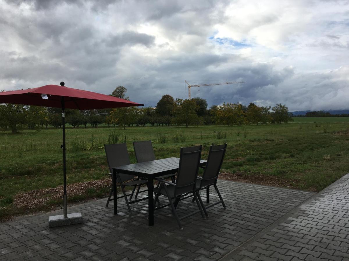 Monteurwohnung 2 Ingelheim am Rhein Εξωτερικό φωτογραφία